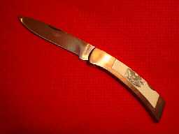 tn558a.jpg (3456 bytes)